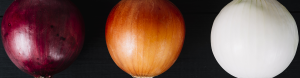 cipolle